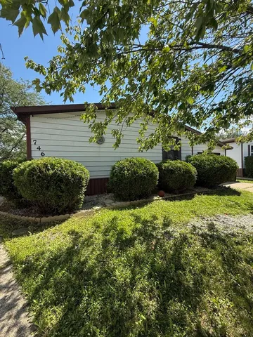 a view of a garden with plants