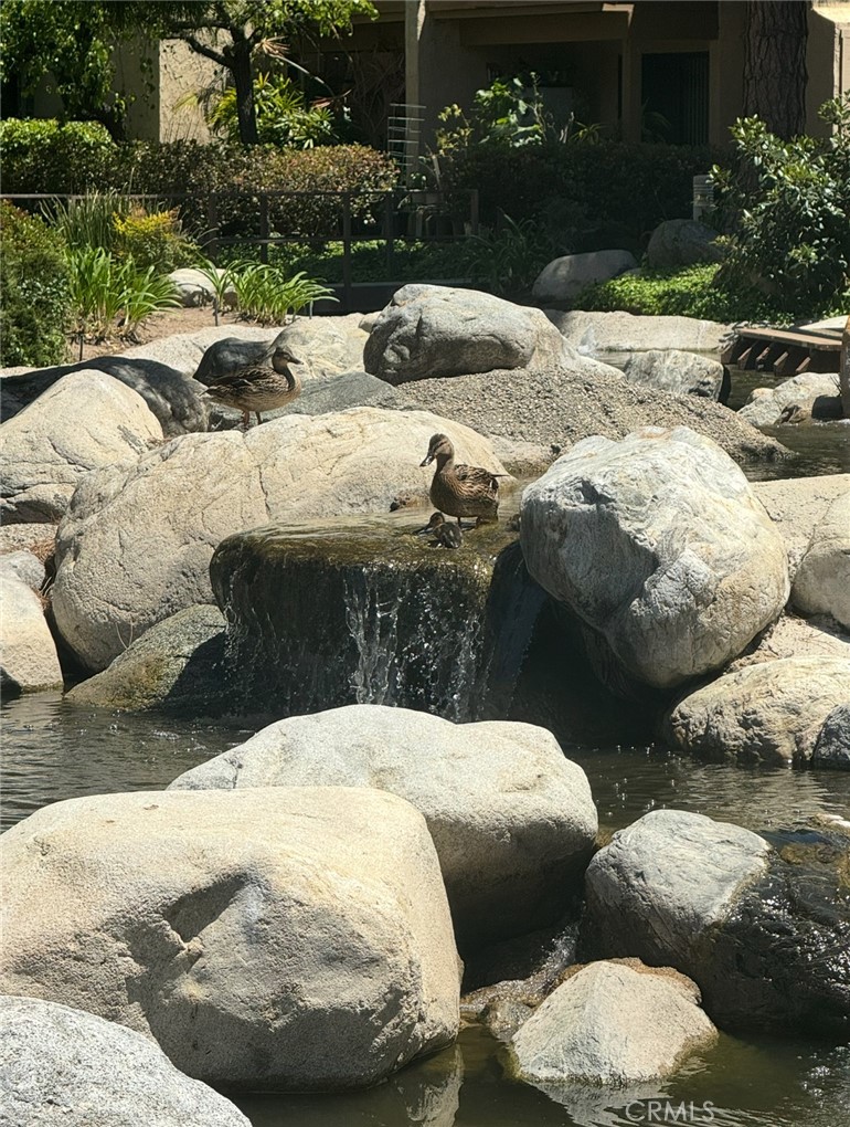 124 Tangelo, Unit 390 Irvine, CA 92618 - Photo 3 of 9 a view of outdoor space and swimming pool