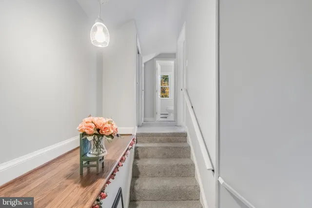 an entryway with a flower pot