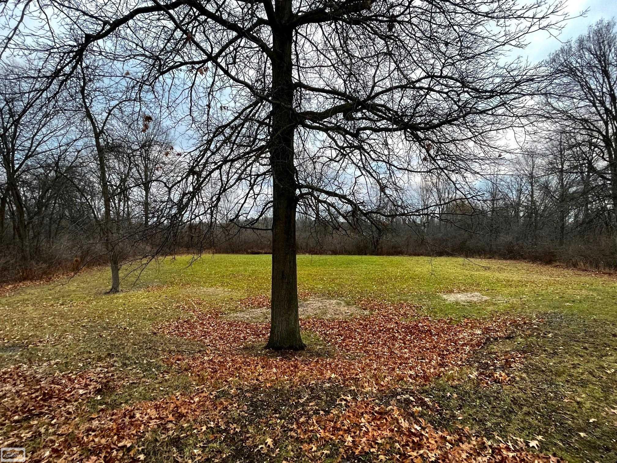 8917 Meisner Road Casco, MI 48064 - Photo 20 of 22 5 Acres