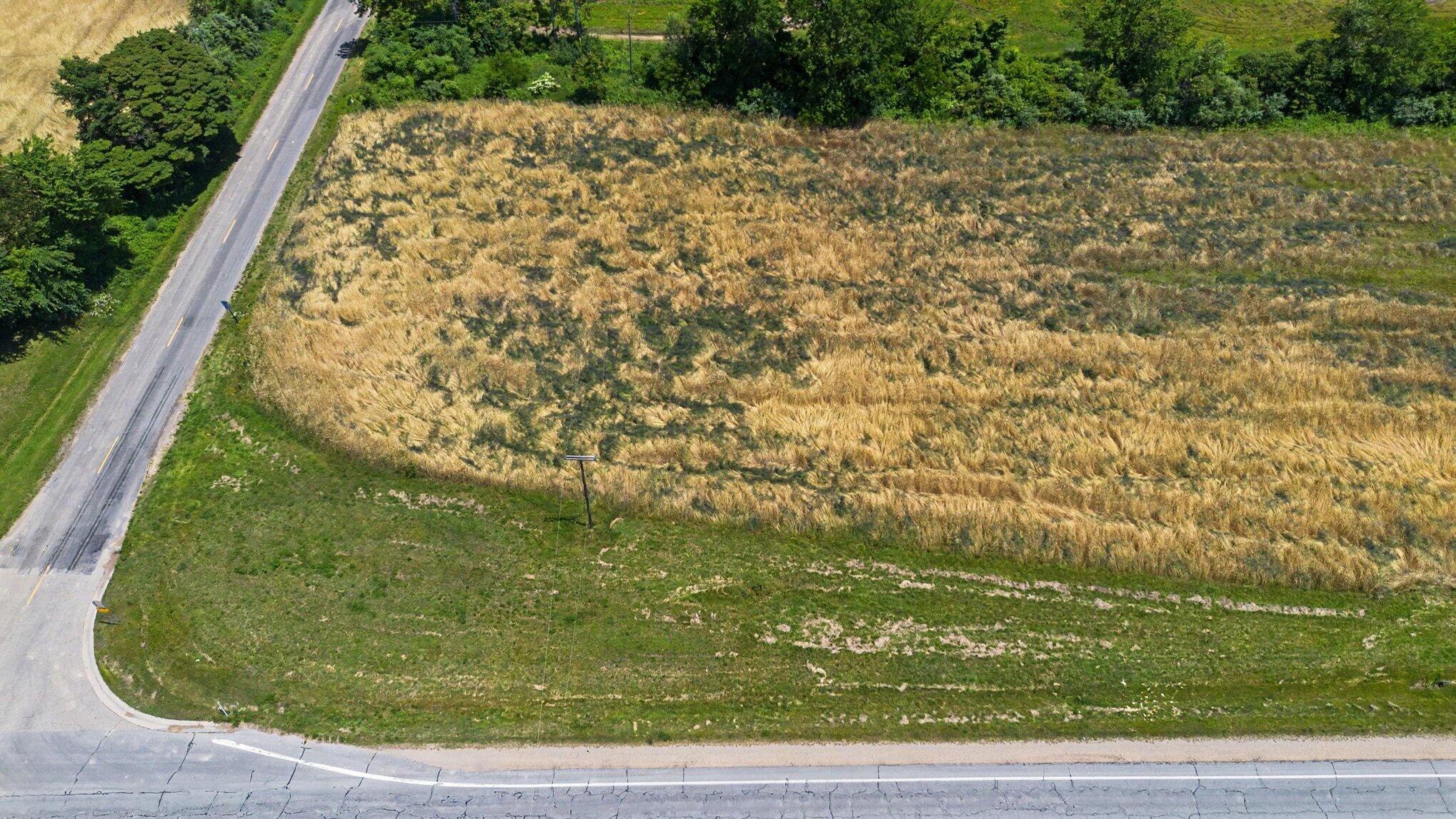 Vl Meadowbrook Road Eau Claire, MI 49111 - Photo 10 of 21 008_file_4781