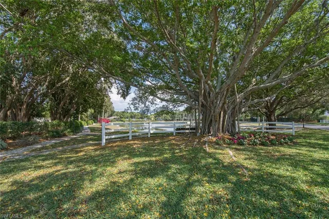 a view of a park with plants and large trees