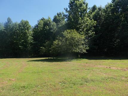 800 Casey Cemetery Road Woodlawn, TN 37191 - Photo 3 of 15 Land