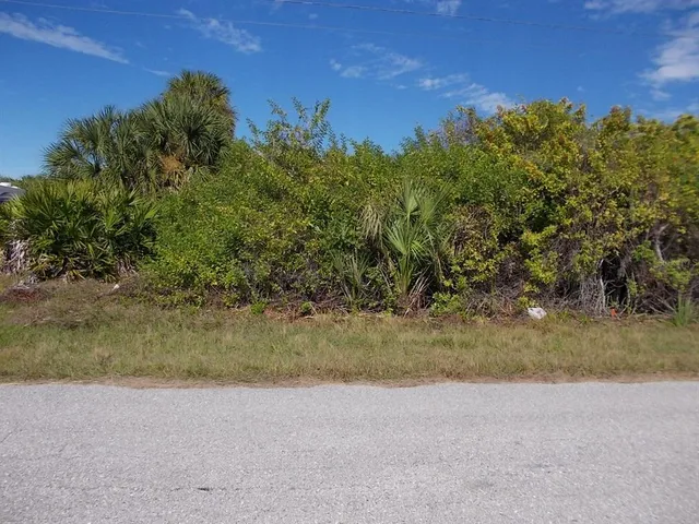 a view of a yard with a tree