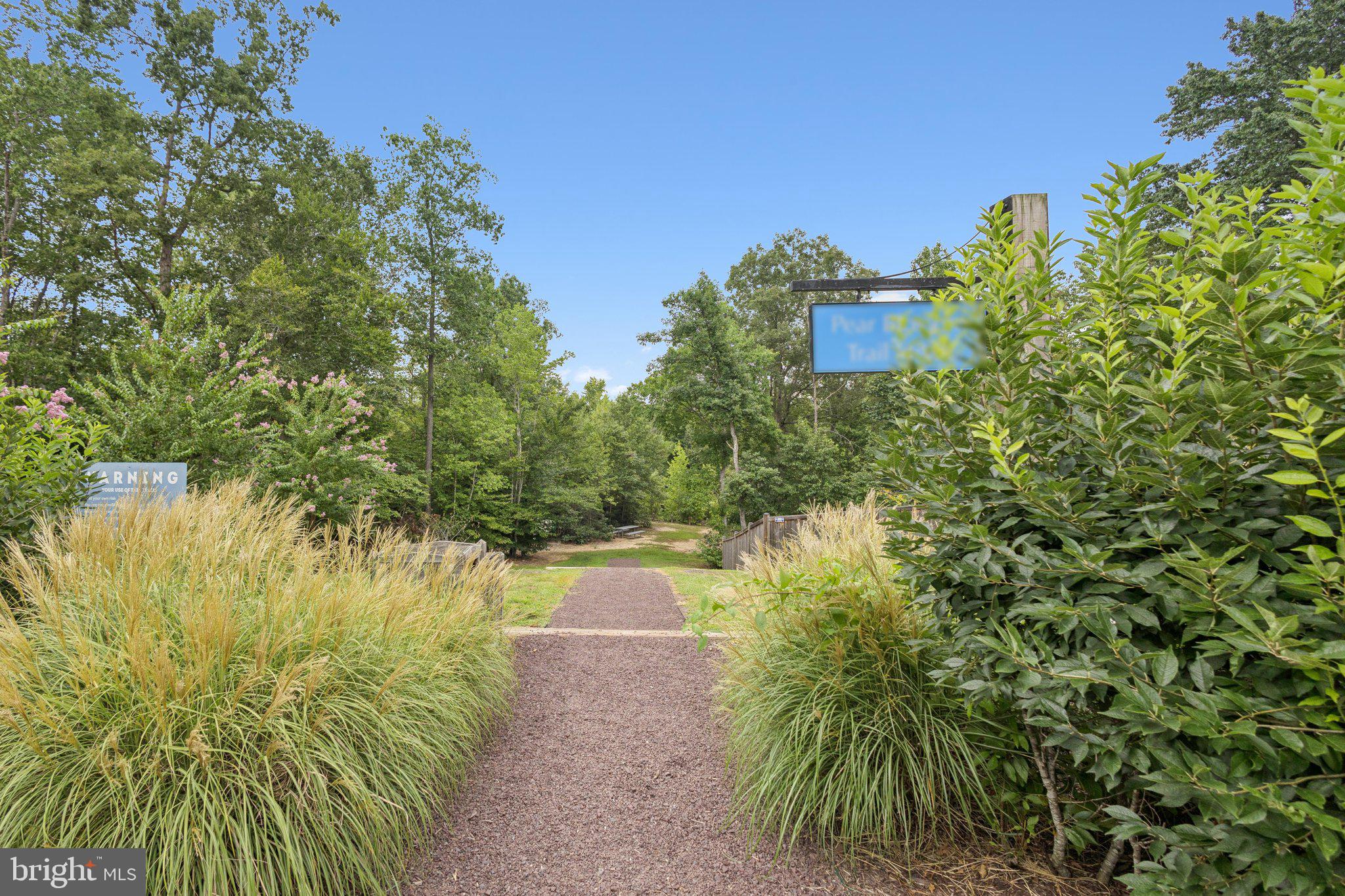 930 Forsythia Lane Stafford, VA 22554 - Photo 68 of 81 a view of a yard with plants and a fountain