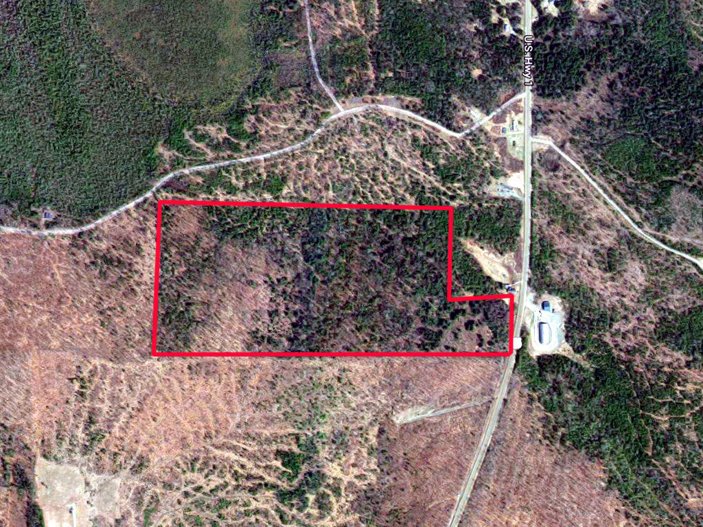 Lot 1 Us Rt 1 Amity, ME 04471 - Photo 2 of 4 lot-1-amity