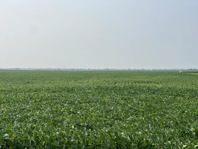 a view of a green field with lots of green space