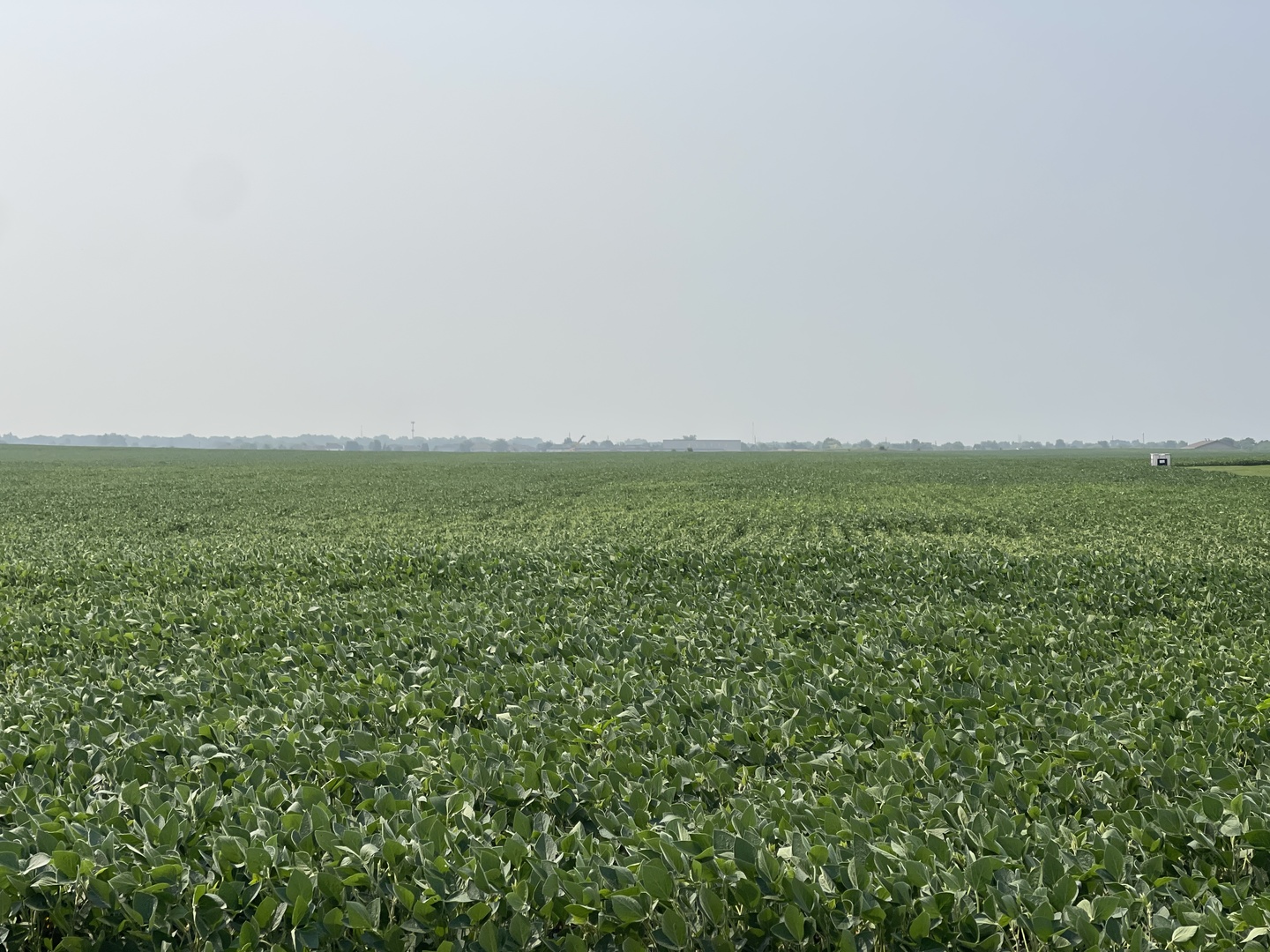 0 West Baker Road Manhattan, IL 60442 - Photo 3 of 4