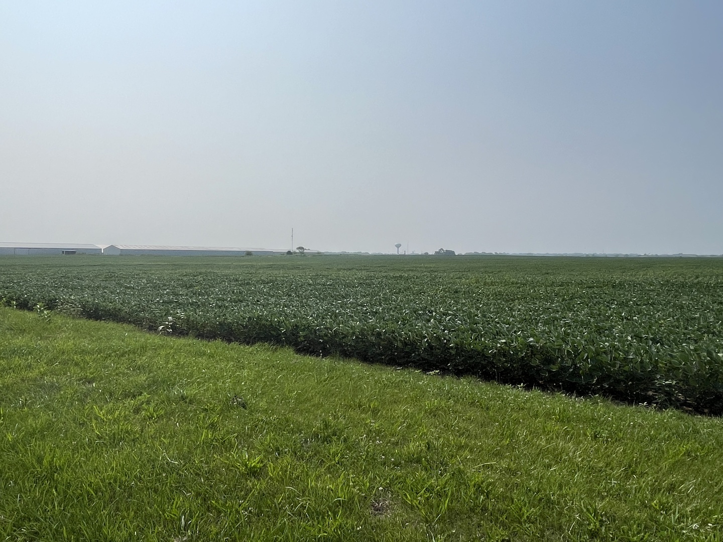0 West Baker Road Manhattan, IL 60442 - Photo 4 of 4 a view of a green field with lots of green space