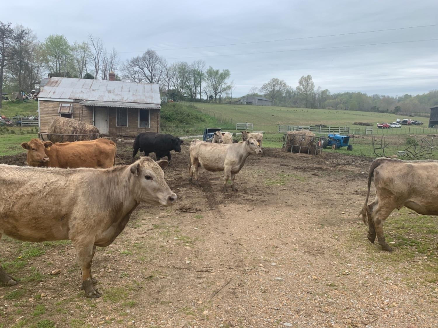 1 Bowen Road Stanford, KY 40484 - Photo 17 of 19 Photo 17