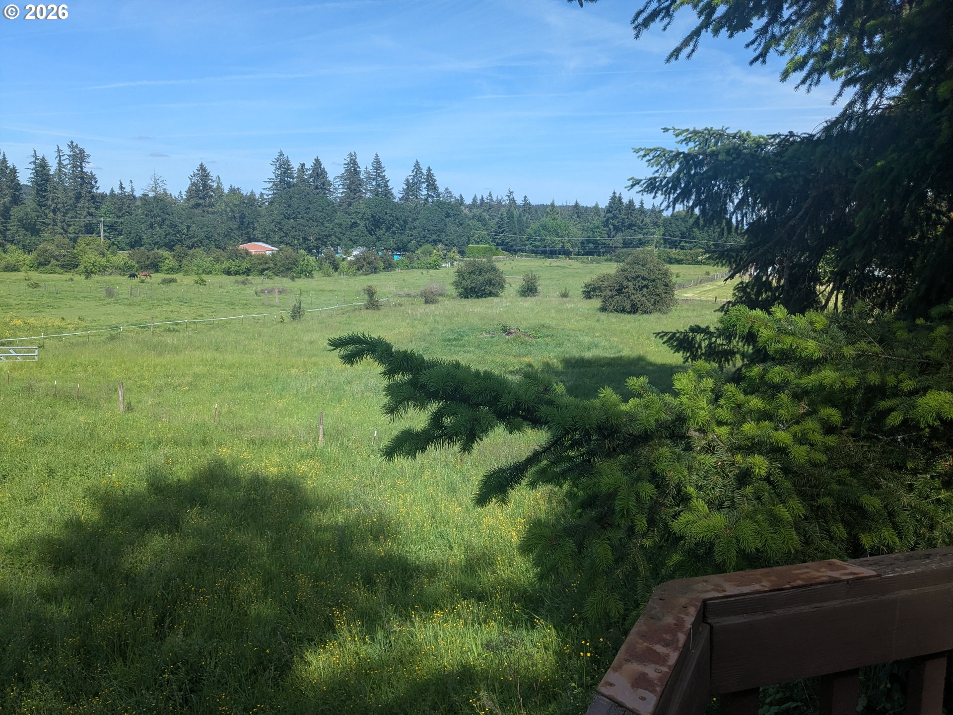15341 South Hattan Road Oregon City, OR 97045 - Photo 37 of 41 Pasture