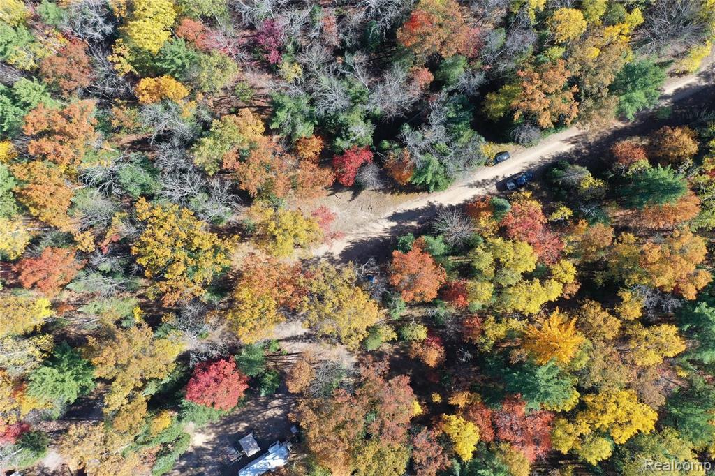 0 Woodbridge Road St. Helen, MI 48656 - Photo 11 of 16