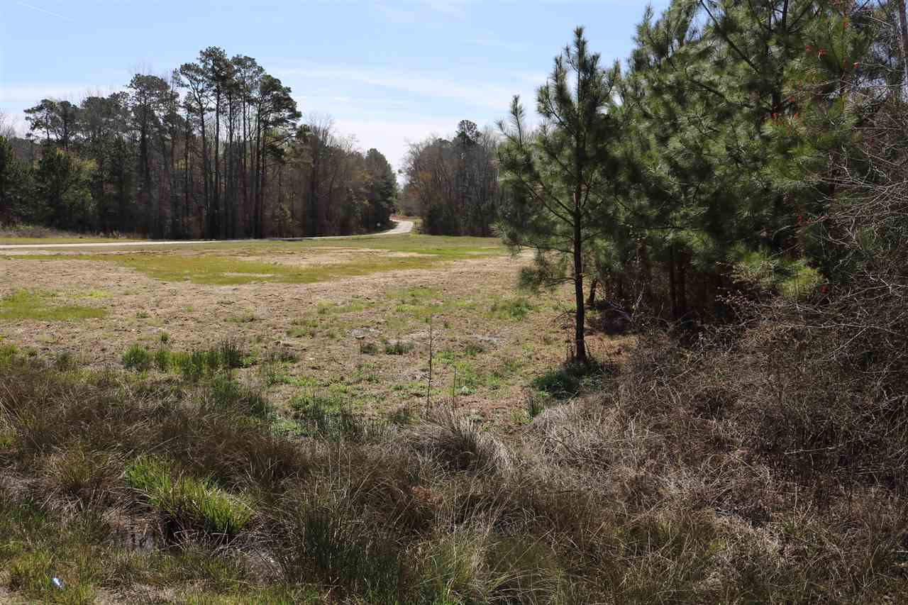 Thanksgiving Fire Road Selma, NC 27576 - Photo 8 of 16 CLEARED ACREAGE