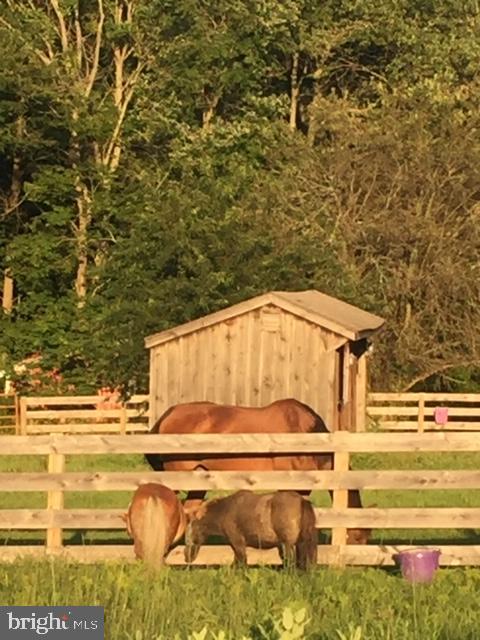 2028 Appleton Road Elkton, MD 21921 - Photo 49 of 71