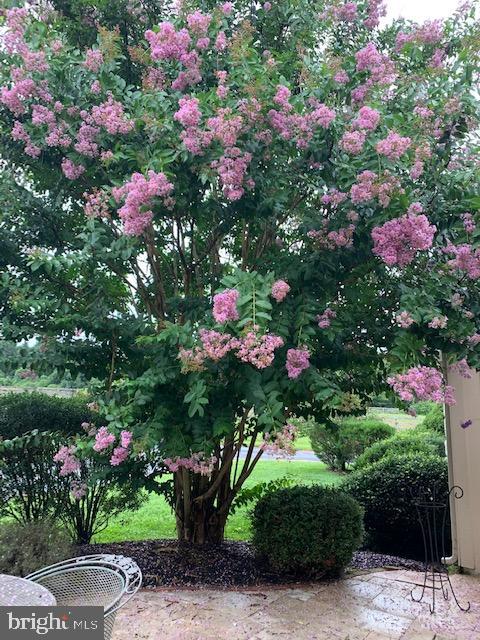 2028 Appleton Road Elkton, MD 21921 - Photo 53 of 71