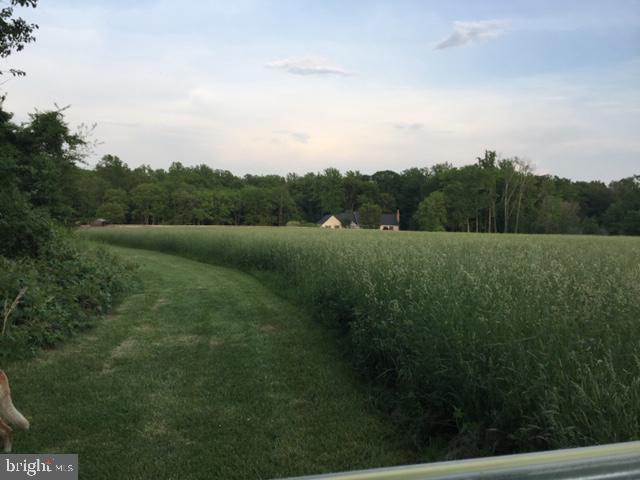 2028 Appleton Road Elkton, MD 21921 - Photo 54 of 71