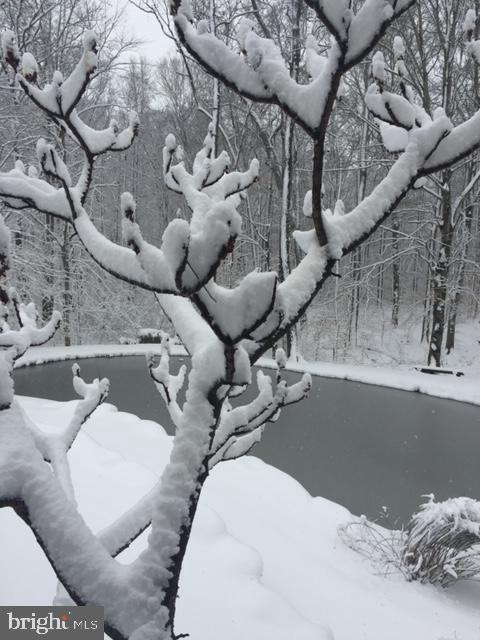 2028 Appleton Road Elkton, MD 21921 - Photo 59 of 71