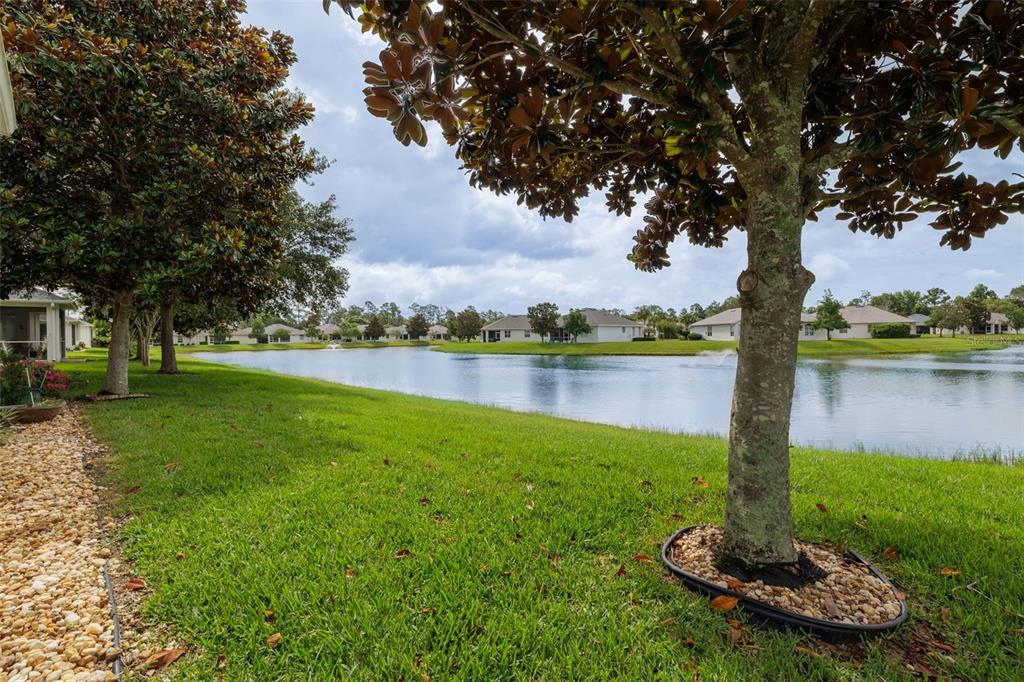 61 Raintree Circle Palm Coast, FL 32164 - Photo 24 of 33