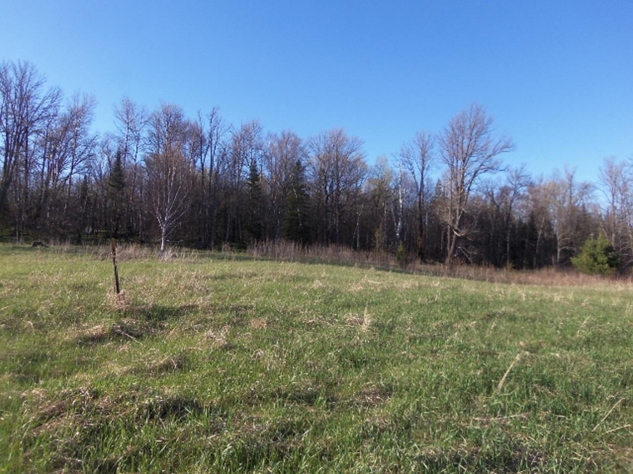 Lot 24 Weber Road Mercer, WI 54547 - Photo 15 of 19 Gallery Image 15