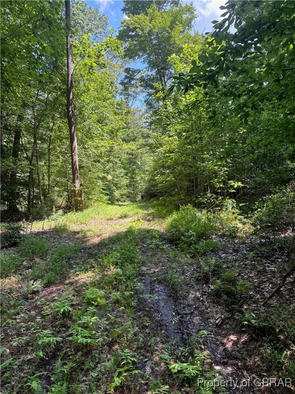 5.7-ac Dutton Road Gloucester, VA 23061 - Photo 6 of 21