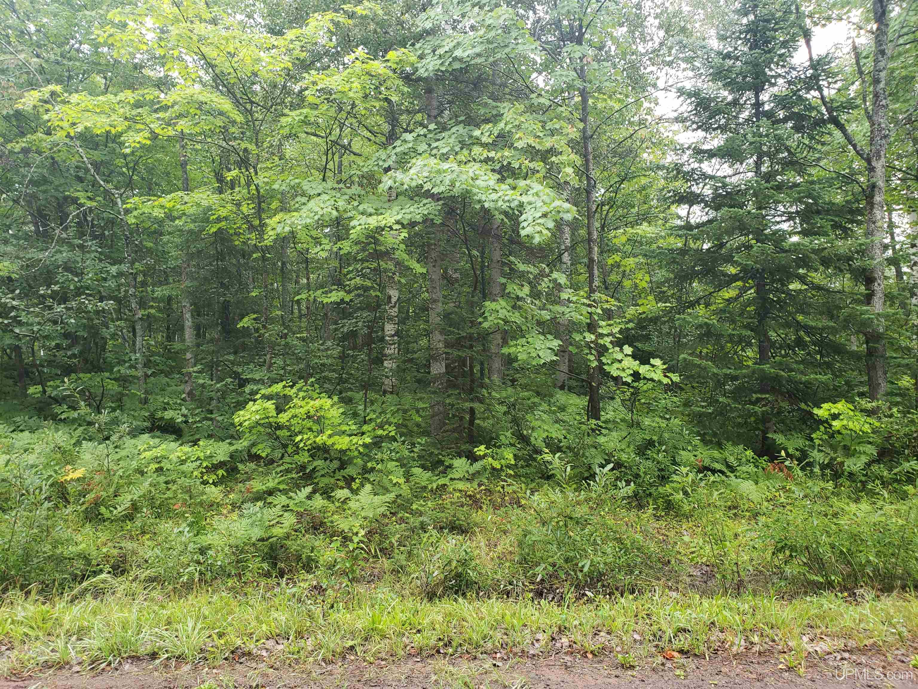 Tbd A Tbd A Tecumseh Road Calumet, MI 49913 - Photo 22 of 45