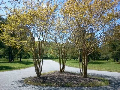 Bayside Bayside Road, Unit 1 2 Greenbush, VA 23357 - Photo 2 of 4