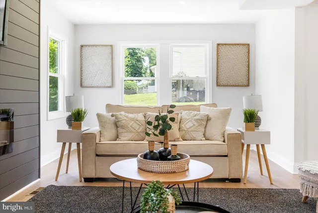 a living room with furniture and a potted plant