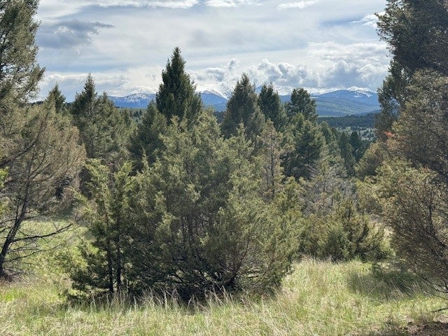 704 Flint View Road Deer Lodge, MT 59722 - Photo 14 of 20 Gallery Image 14