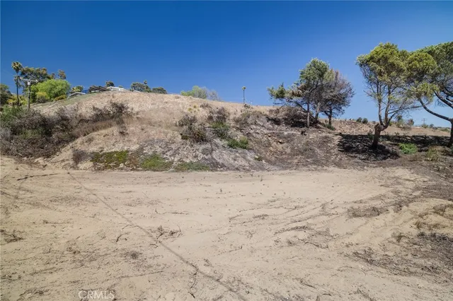 a view of a dry yard with trees