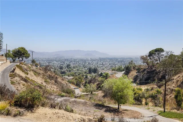 a view of a wooden bridge with large trees