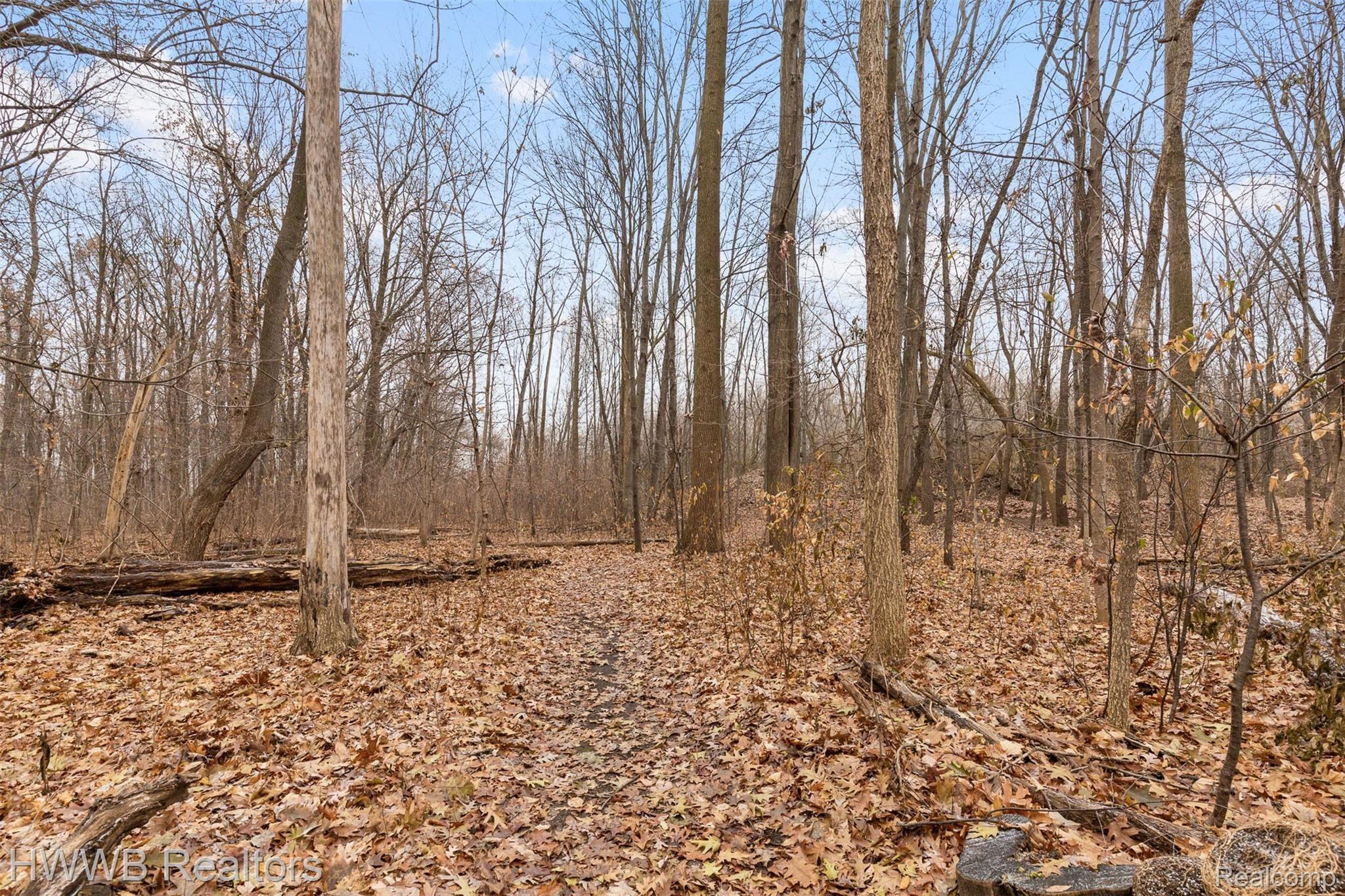 2442 Frankson Avenue Rochester, MI 48307 - Photo 29 of 39 592A7861.jpg