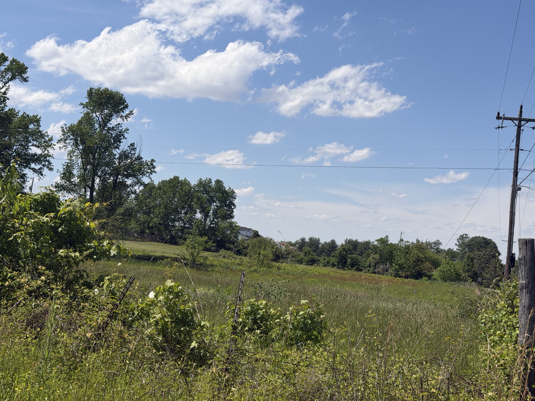 120 Walker Road Cottontown, TN 37048 - Photo 6 of 38 Gallery Image 6