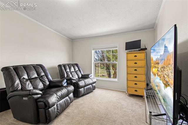 19290 Loop Road Colorado Springs, CO 80928 - Photo 13 of 39 Carpeted home theater room featuring ornamental molding and a textured ceiling