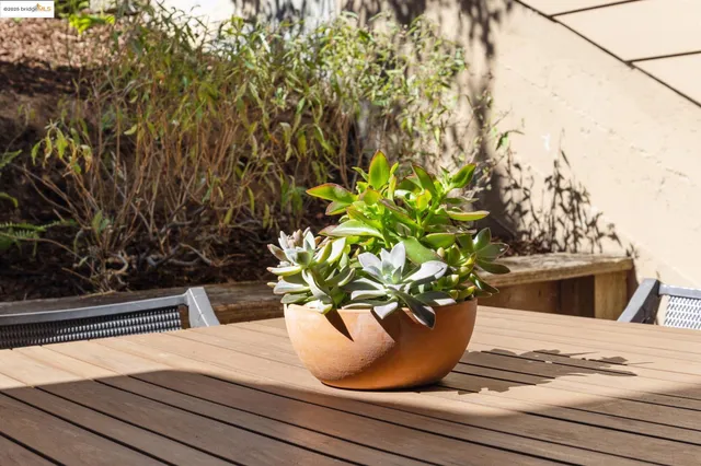 a view of a vase of flowers sitting on a table