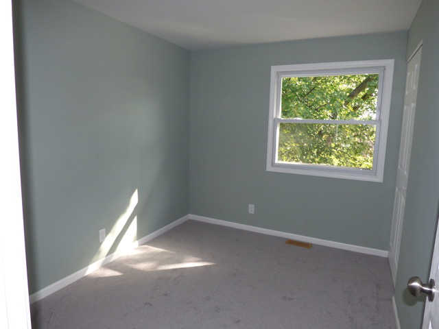 348 East Briarcliff Road Bolingbrook, IL 60440 - Photo 20 of 20 a view of room with window