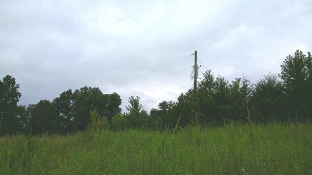 166 County Road Auxvasse, MO 65231 - Photo 22 of 27