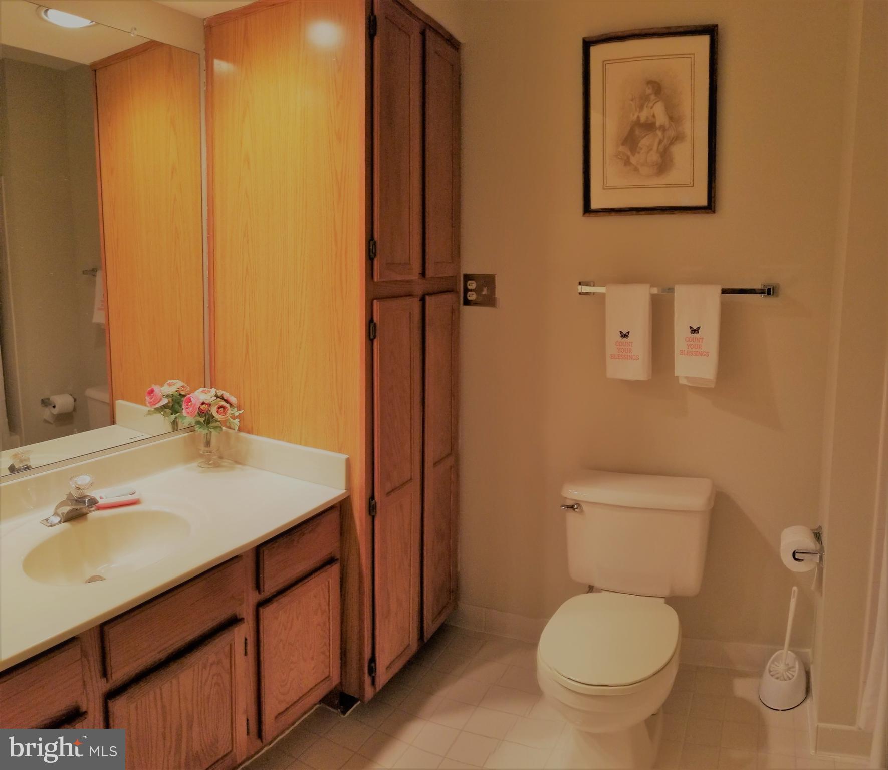 1507 Golf Course Drive Bowie, MD 20721 - Photo 28 of 37 Bath-full - 2nd level