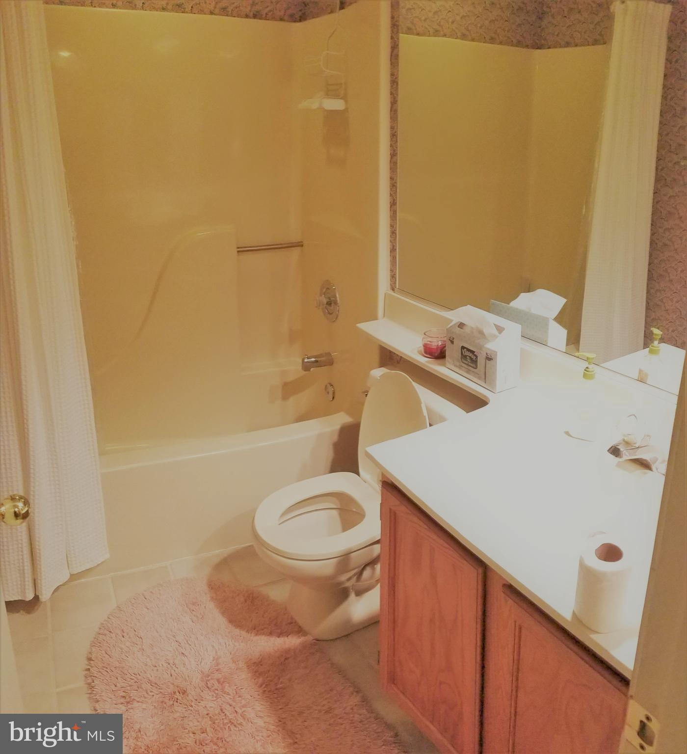 1507 Golf Course Drive Bowie, MD 20721 - Photo 36 of 37 Bath-full - basement