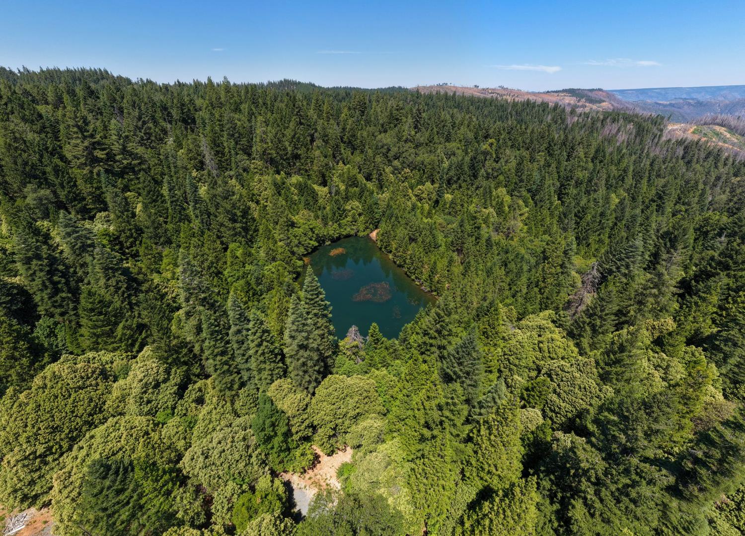 10075 White Fir Road Georgetown, CA 95634 - Photo 35 of 35