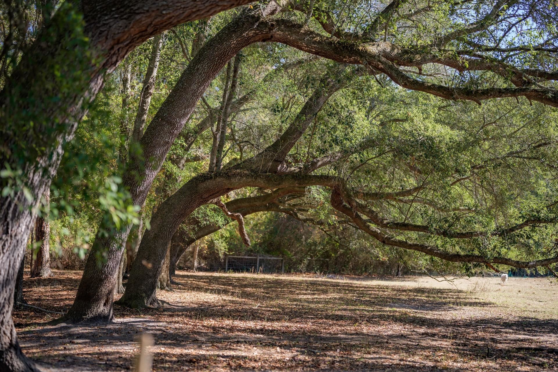 1808 Upper Hawthorne Trail Cairo, GA 39827 - Photo 17 of 55