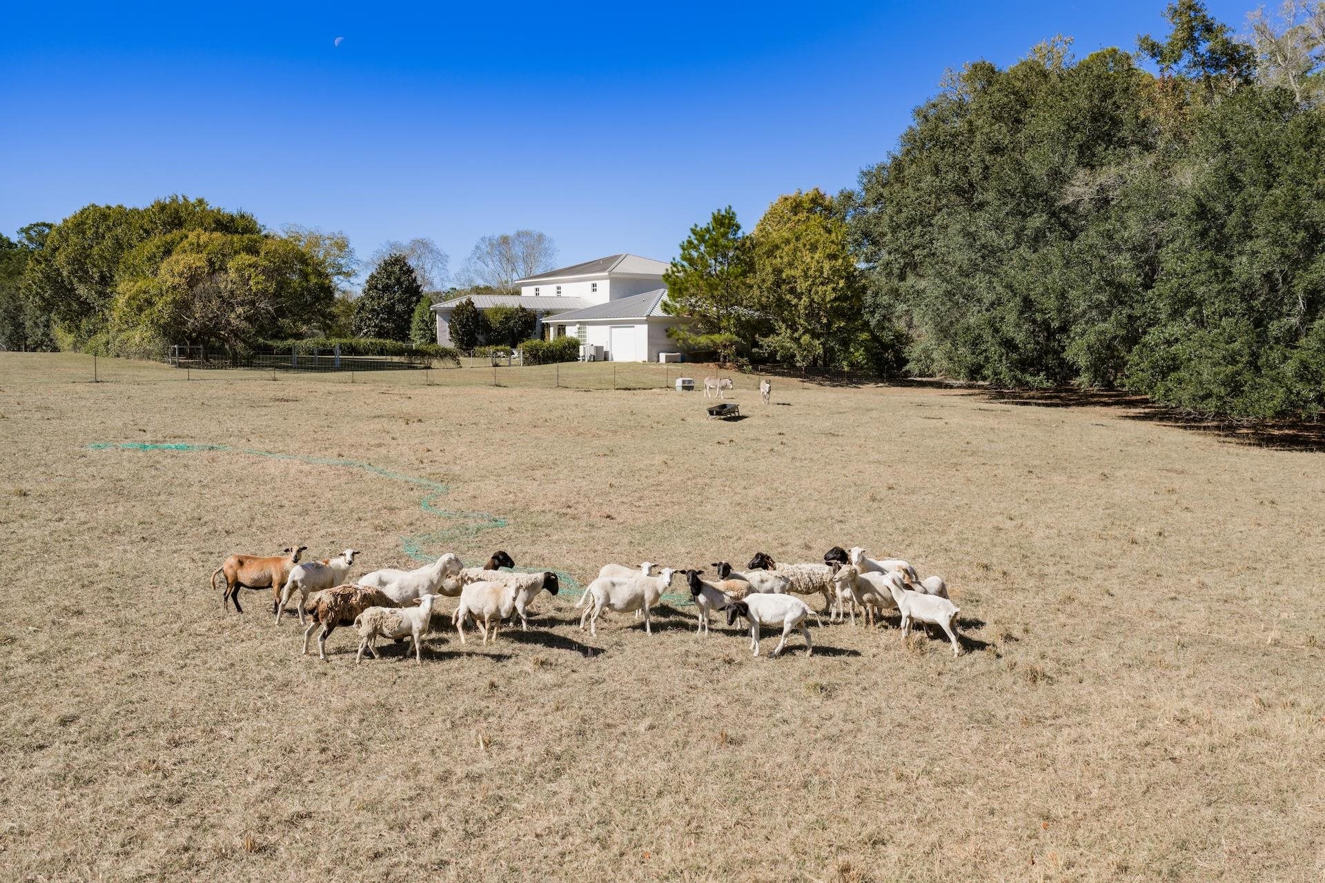 1808 Upper Hawthorne Trail Cairo, GA 39827 - Photo 18 of 55