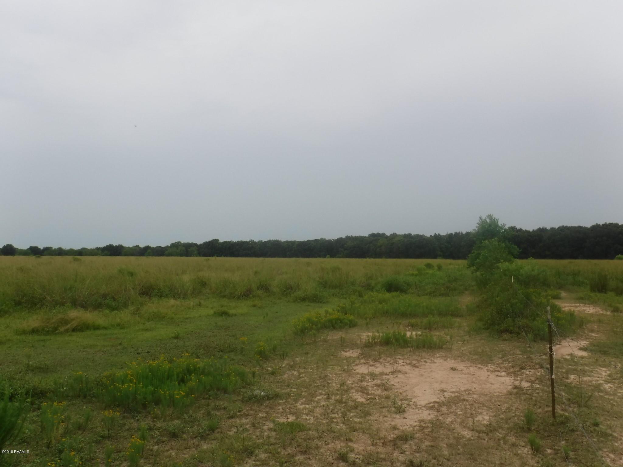 0 Homer Adams Road Morse, LA 70559 - Photo 1 of 1 Gallery Image 1