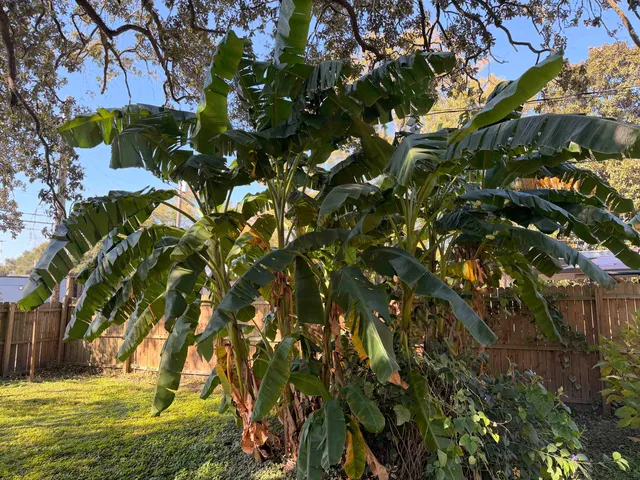 $227,900 | 1111 Palmetto Street, Georgetown, SC 29440