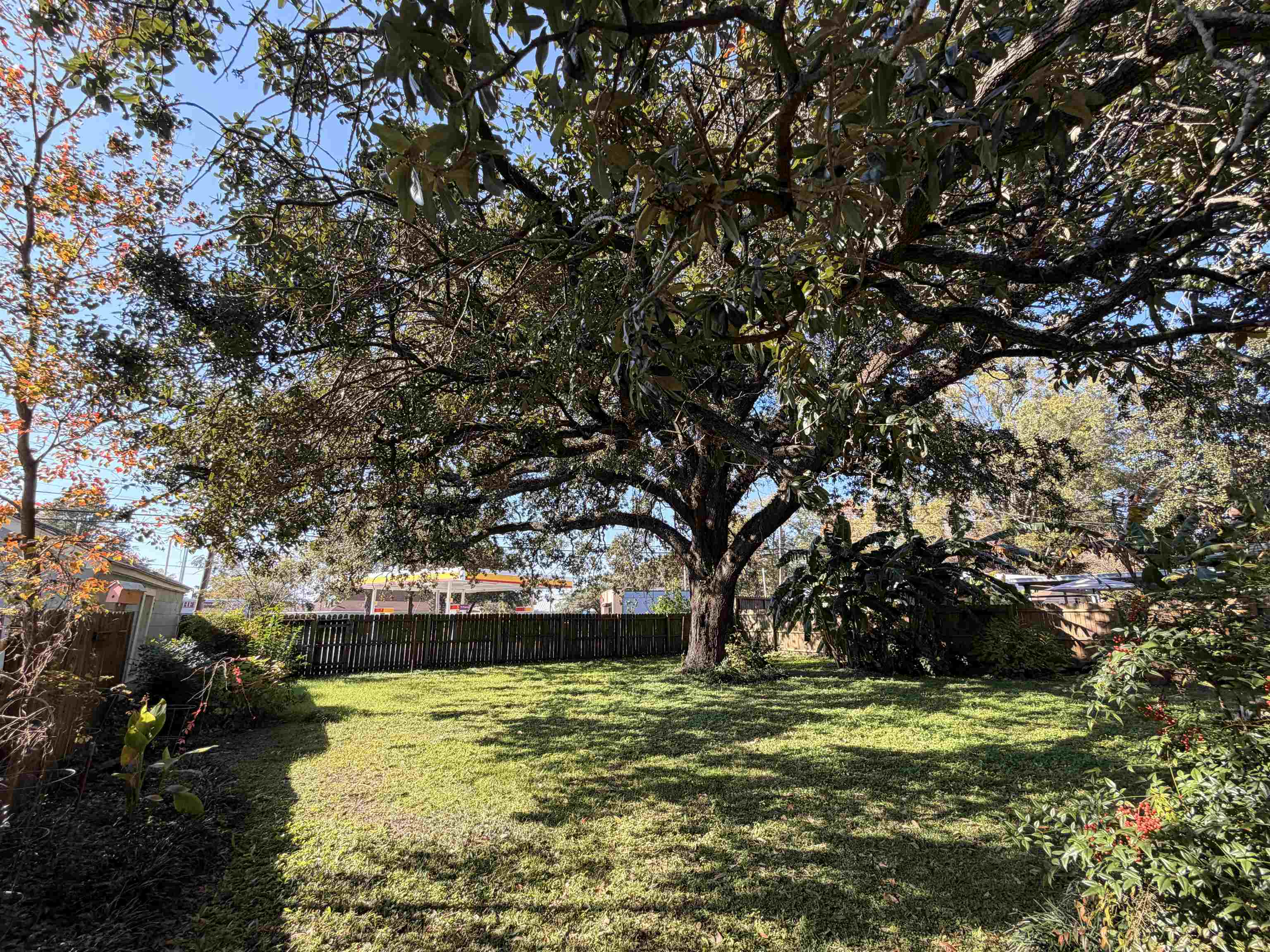 1111 Palmetto Street Georgetown, SC 29440 - Photo 25 of 36