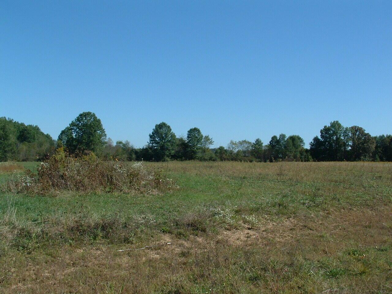 0 Nichols Lane Road Northwest Johnstown, OH 43031 - Photo 7 of 22 DSCF0003