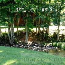 808 Dog Creek Road Crumpler, NC 28617 - Photo 8 of 20 Gallery Image 8