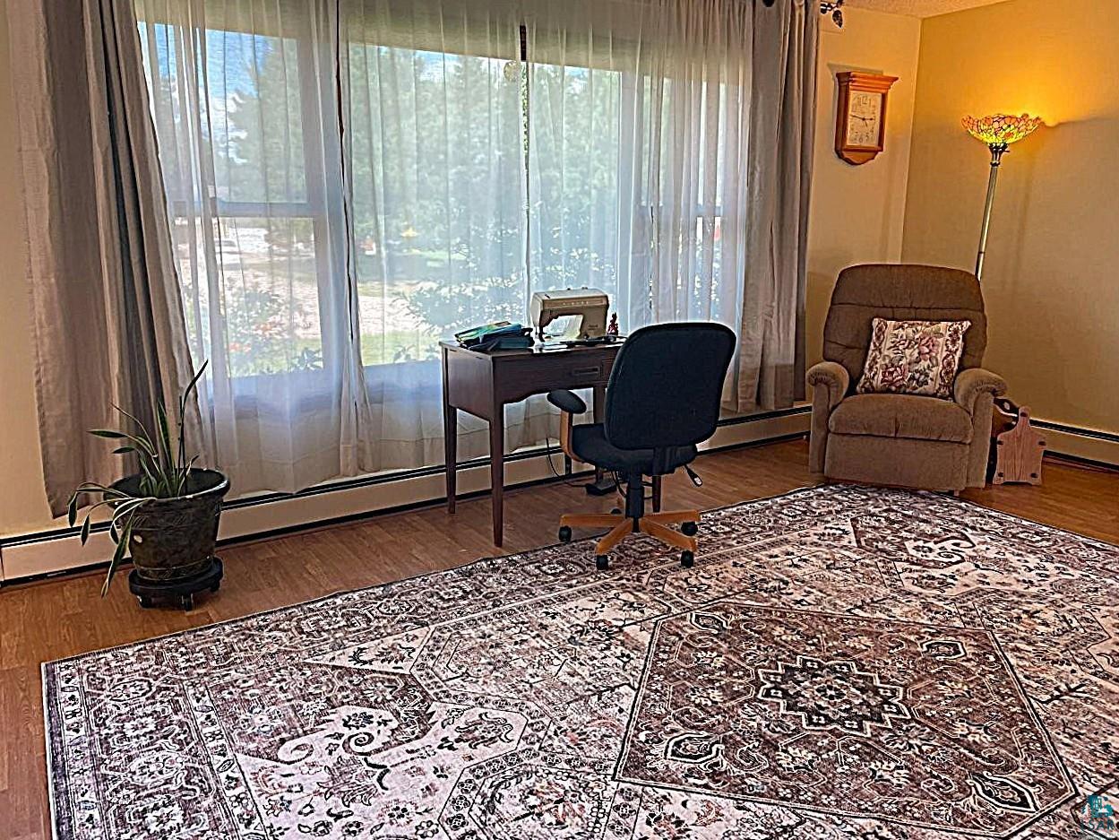 42 Locust Drive Babbitt, MN 55706 - Photo 10 of 50 Living room windows provide an abundance of natural lighting.