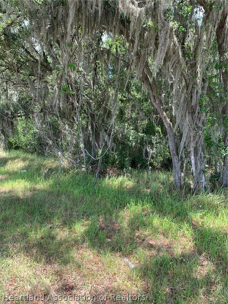 3485 West County Line Road Avon Park, FL 33825 - Photo 2 of 9 a big yard with lots of green space and deers