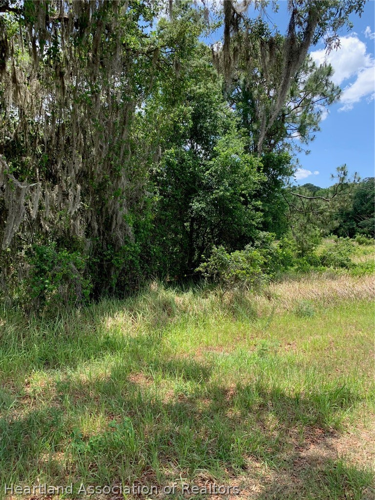 3485 West County Line Road Avon Park, FL 33825 - Photo 4 of 9 a view of a lush green space