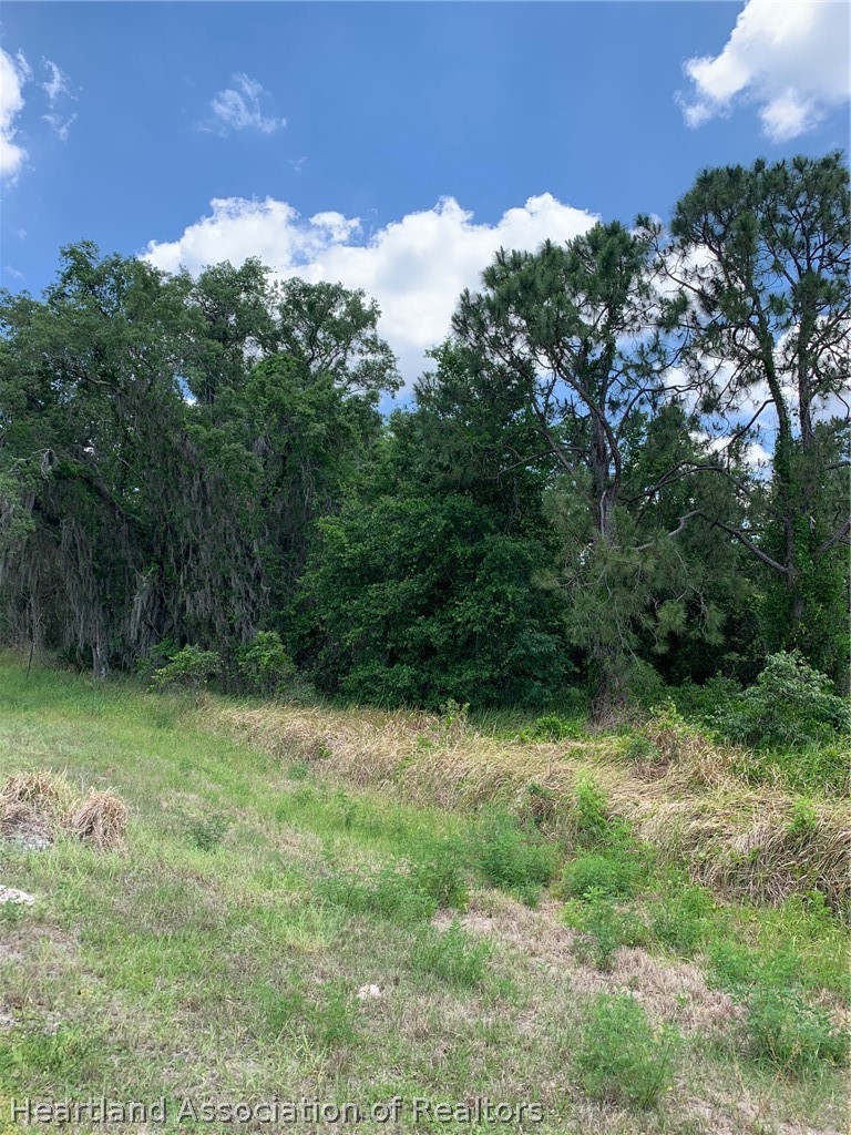 3485 West County Line Road Avon Park, FL 33825 - Photo 8 of 9 a view of a yard with a tree